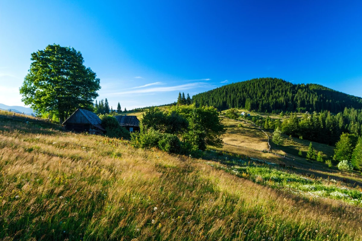Domki nad Bałtykiem na każdą porę roku: co wybrać zimą, latem i poza sezonem — ceny, dojazd i praktyczne wskazówki, by trafić najlepszą lokalizację.